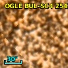 2MASS J17542912-2957184