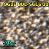 OGLE BUL-SC16 319688