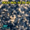 OGLE BUL-SC36 454051
