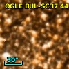 OGLE BUL-SC37 441811