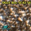 OGLE BUL-SC42 569217