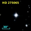 HD 275065