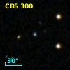 CBS 300