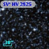 SV* HV  2825