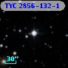 TYC 2856-132-1