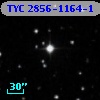 TYC 2856-1164-1