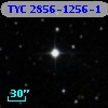TYC 2856-1256-1