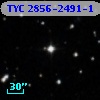 TYC 2856-2491-1