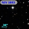NSV  1093