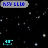 NSV  1110