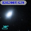 [GSG2007] G29
