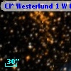Cl* Westerlund    1      W      69