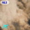 ALS 16811