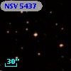 NSV  5437
