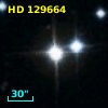 HD 129664