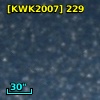 [KWK2007]   229