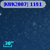 [KWK2007]  1181