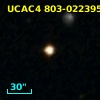 2MASS J13333371+7029412