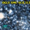 OGLE SMC-SC8  31315