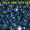 OGLE SMC-SC8  66520
