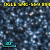 OGLE J010115.30-721007.9