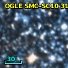 OGLE J010400.79-720742.0