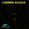 COSMOS 813310