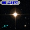 HD 126877