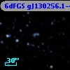6dFGS gJ130256.1-424435