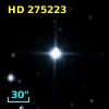 HD 275223