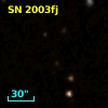 SN 2003fj