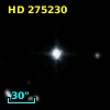 HD 275230