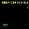 DEEP-GSS 042-3135