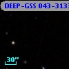 DEEP-GSS 043-3133