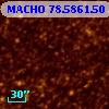 MACHO  78.5861.50
