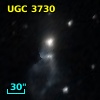 UGC  3730