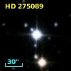 HD 275089