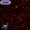 [FKM2008] LMC N J0502-6903