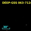 DEEP-GSS 063-7124