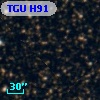 TGU H91
