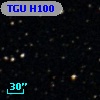 TGU H100