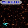 TGU H113 P1