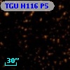TGU H116 P5