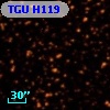 TGU H119