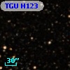 TGU H123