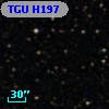TGU H197