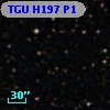 TGU H197 P1