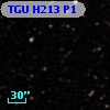 TGU H213 P1
