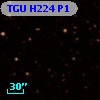 TGU H224 P1