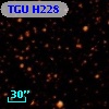 TGU H228